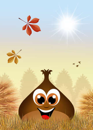 Chestnuts in the urchinの写真素材