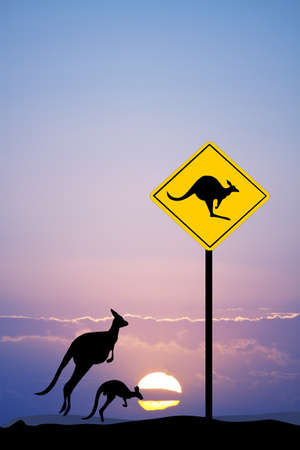 Kangaroo sign cautionの写真素材