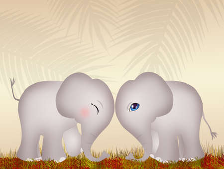 elephants in loveの写真素材