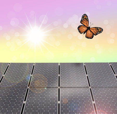 solar panels