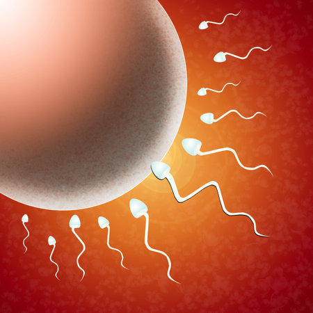 assisted reproduction