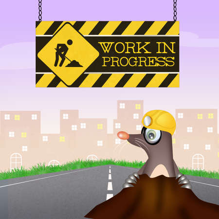 mole for work in progressの写真素材