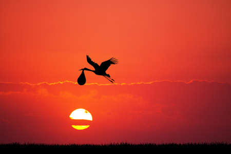 stork with babyの写真素材