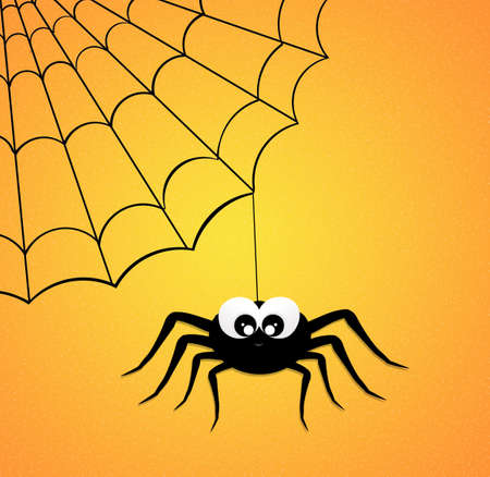 funny spiderの写真素材