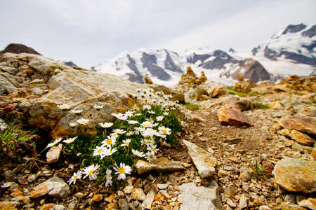 View from Diavolezza glacier, Morteratsch, Switzerlandの写真素材