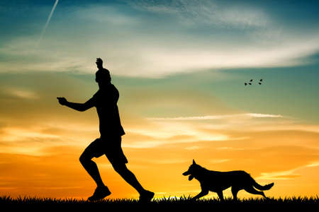 trained dog at sunsetの写真素材