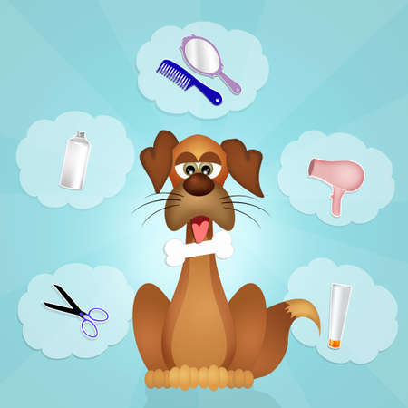 Grooming dogsの写真素材