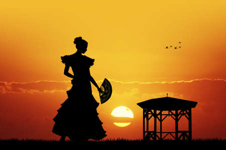 Flamenco at sunsetの写真素材
