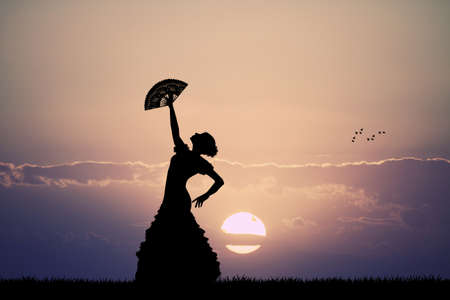 flamenco at sunsetの写真素材
