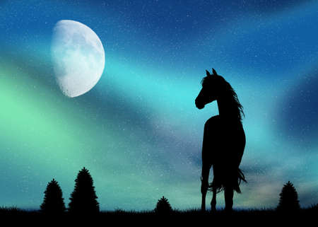 horse and Northern Lightsの写真素材