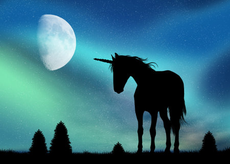 unicorn and Northern Lights