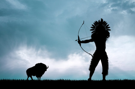 Red skin hunter and buffalo at sunset