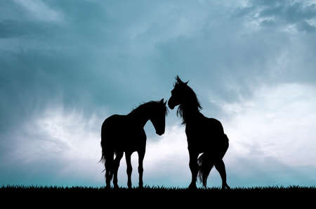 horses couple silhouette at sunsetの写真素材