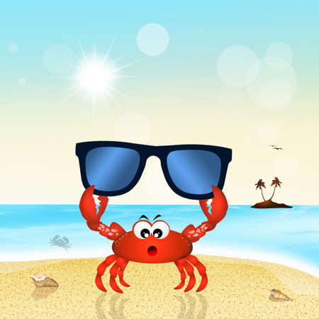 funny crab with sunglasses on the beachの写真素材