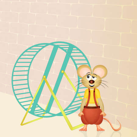 hamster and wheelの写真素材