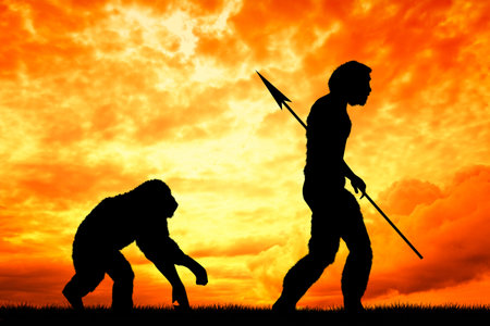 Homo sapiens
