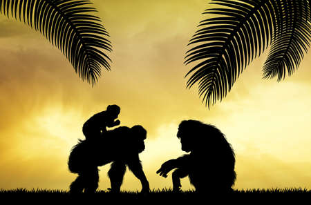 family of monkeys in the jungleの写真素材