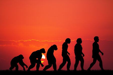 Human evolutionの写真素材
