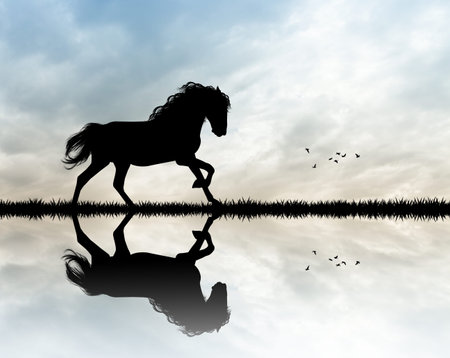 horse gallop at sunsetの写真素材