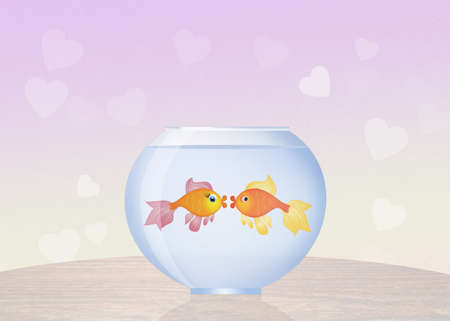 goldfish in bowlの写真素材