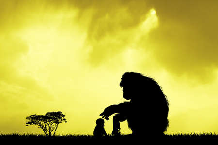 baby monkey at sunsetの写真素材