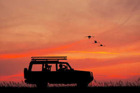 adventure at sunsetの写真素材