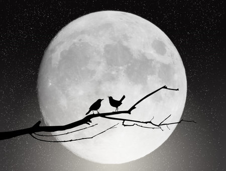 supermoon