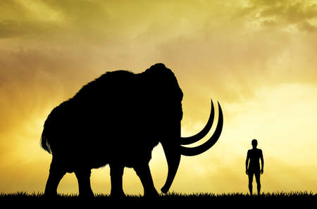 mammoth and man at sunsetの写真素材