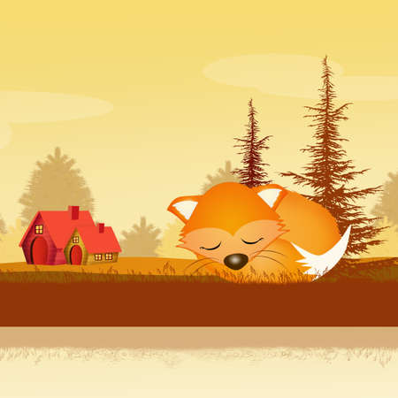 red fox in autumnの写真素材