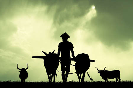 Asian farmer in the farmlandの写真素材
