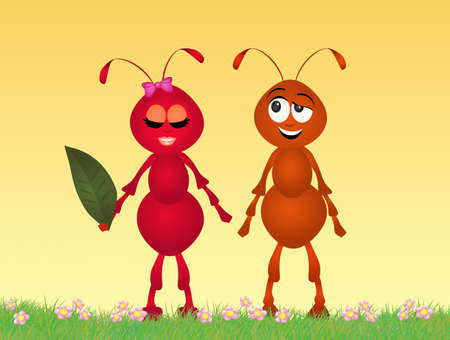 Ants in loveの写真素材