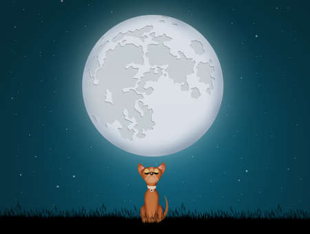 puppy dog in the moonの写真素材