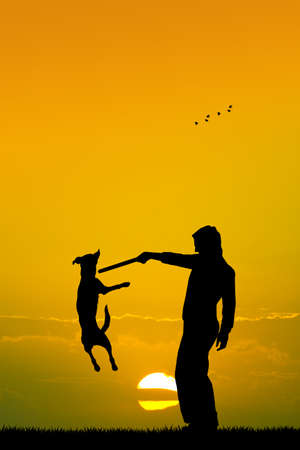 trained dog at sunsetの写真素材