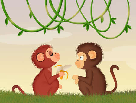 monkeys in the jungleの写真素材
