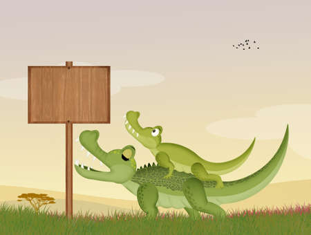 illustration of alligatorの写真素材