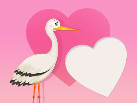 stork for femaleの写真素材