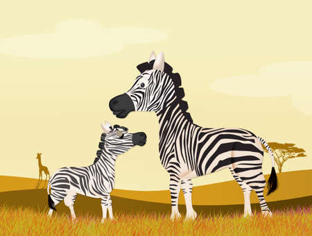 illustration of zebrasの写真素材