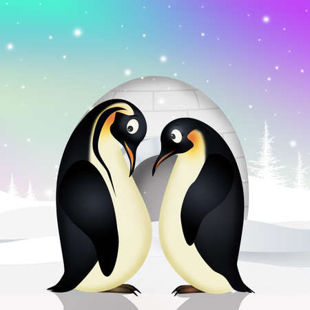 couple of penguinsの写真素材