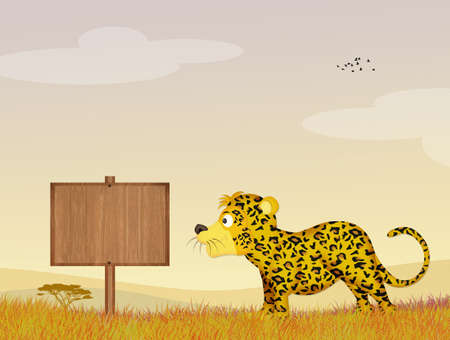 illustration of leopardの写真素材