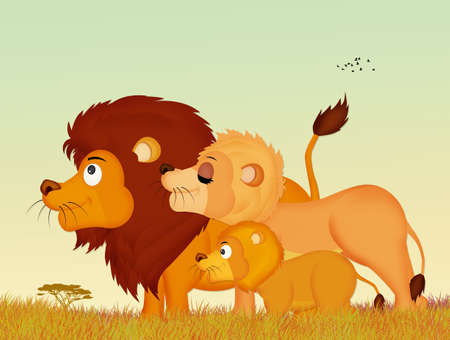 family of lionsの写真素材
