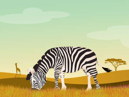 illustration of zebra in the wildの写真素材