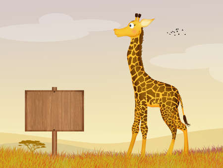 illustration of giraffeの写真素材