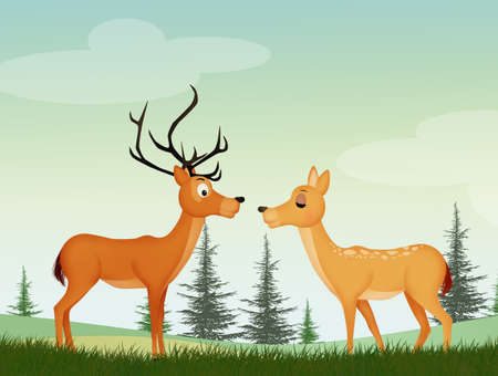 deer in the forestの写真素材