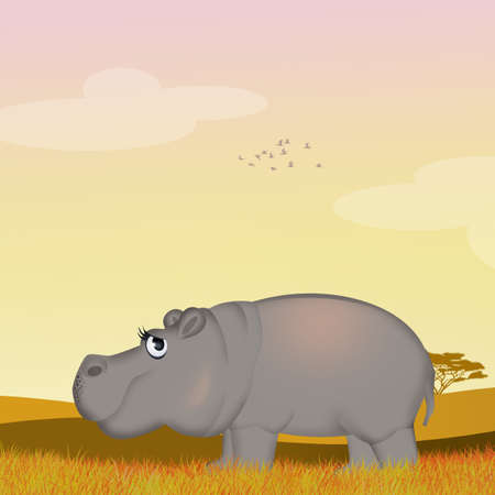 illustration of hippoの写真素材