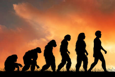 illustration of human evolutionの写真素材