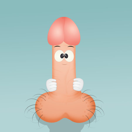 illustration of penis
