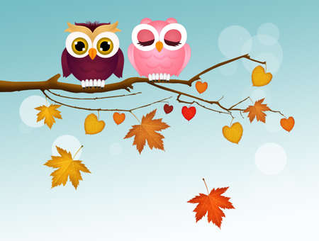illustration of owl on branches in autumnの写真素材