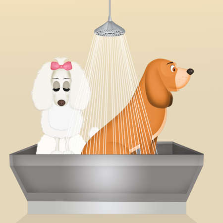 Dogs' bathroomの写真素材