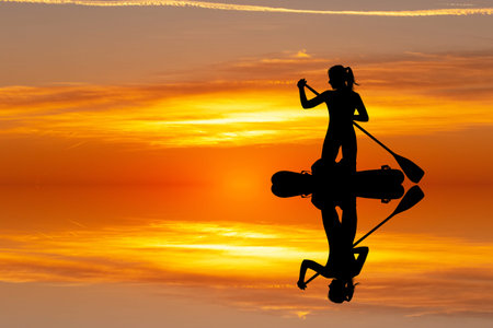Stand up paddling board