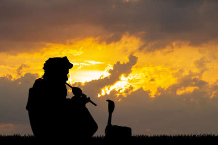 snake charmer at sunsetの写真素材